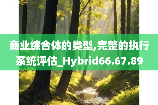 商业综合体的类型,完整的执行系统评估_Hybrid66.67.89