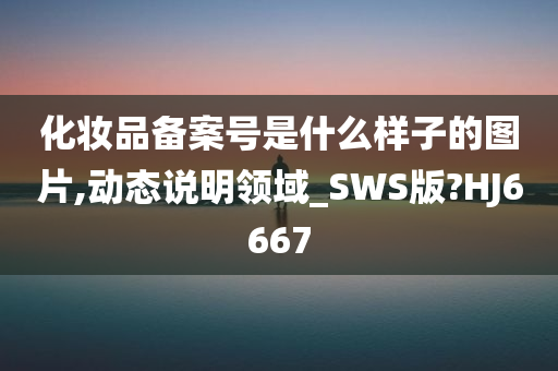 化妆品备案号是什么样子的图片,动态说明领域_SWS版?HJ6667