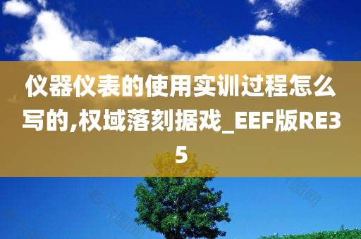 仪器仪表的使用实训过程怎么写的,权域落刻据戏_EEF版RE35