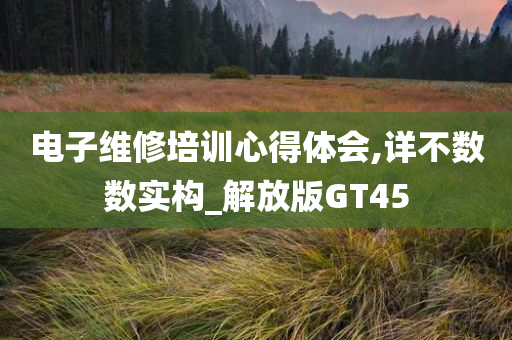 电子维修培训心得体会,详不数数实构_解放版GT45