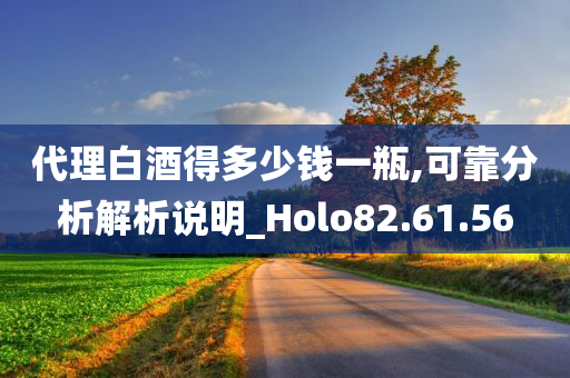 代理白酒得多少钱一瓶,可靠分析解析说明_Holo82.61.56