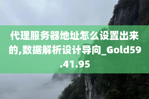 代理服务器地址怎么设置出来的,数据解析设计导向_Gold59.41.95