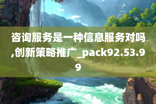 咨询服务是一种信息服务对吗,创新策略推广_pack92.53.99