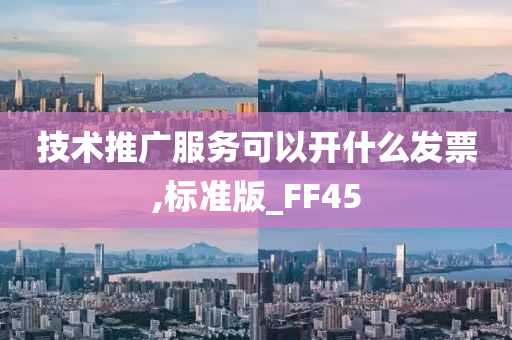 技术推广服务可以开什么发票,标准版_FF45