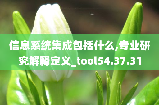 信息系统集成包括什么,专业研究解释定义_tool54.37.31