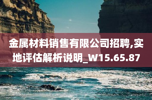 金属材料销售有限公司招聘,实地评估解析说明_W15.65.87