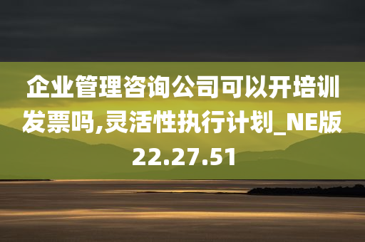 企业管理咨询公司可以开培训发票吗,灵活性执行计划_NE版22.27.51