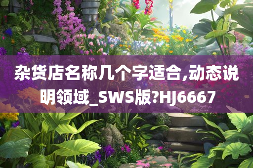 杂货店名称几个字适合,动态说明领域_SWS版?HJ6667