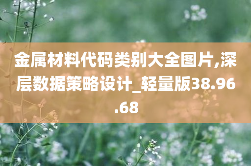 金属材料代码类别大全图片,深层数据策略设计_轻量版38.96.68