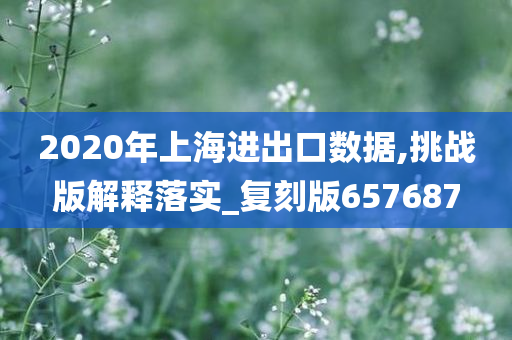 2020年上海进出口数据,挑战版解释落实_复刻版657687