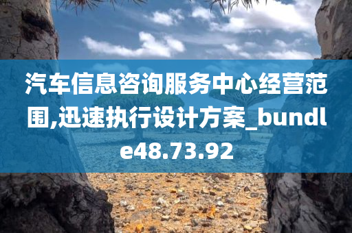 汽车信息咨询服务中心经营范围,迅速执行设计方案_bundle48.73.92