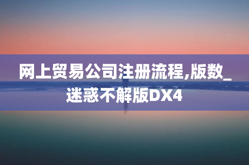 网上贸易公司注册流程,版数_迷惑不解版DX4