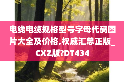 电线电缆规格型号字母代码图片大全及价格,权威汇总正版_CXZ版?DT434