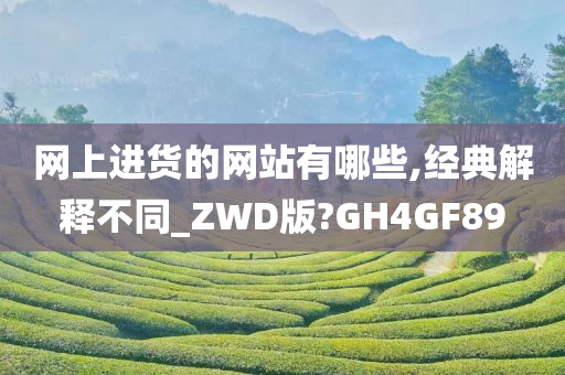 网上进货的网站有哪些,经典解释不同_ZWD版?GH4GF89