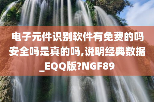 电子元件识别软件有免费的吗安全吗是真的吗,说明经典数据_EQQ版?NGF89