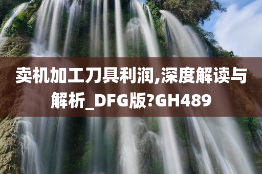 卖机加工刀具利润,深度解读与解析_DFG版?GH489