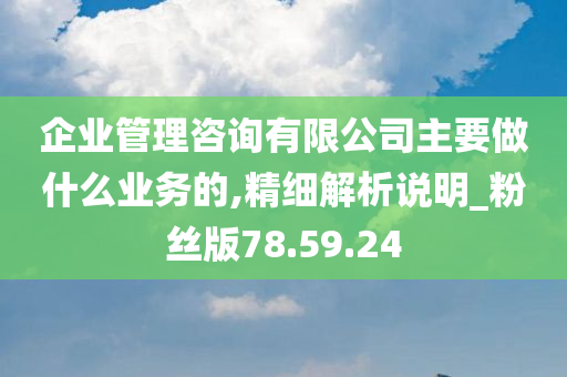 企业管理咨询有限公司主要做什么业务的,精细解析说明_粉丝版78.59.24