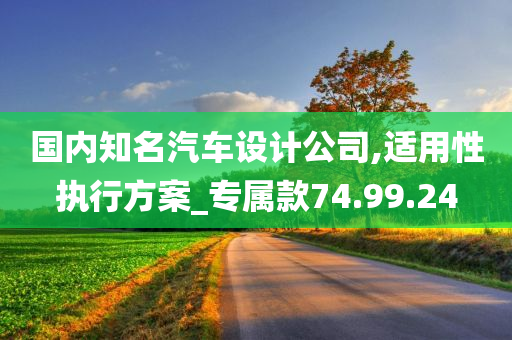 国内知名汽车设计公司,适用性执行方案_专属款74.99.24