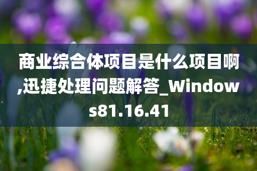 商业综合体项目是什么项目啊,迅捷处理问题解答_Windows81.16.41