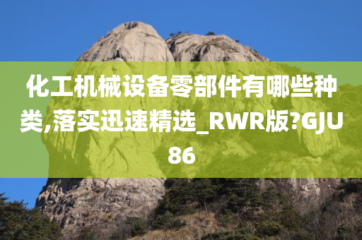 化工机械设备零部件有哪些种类,落实迅速精选_RWR版?GJU86