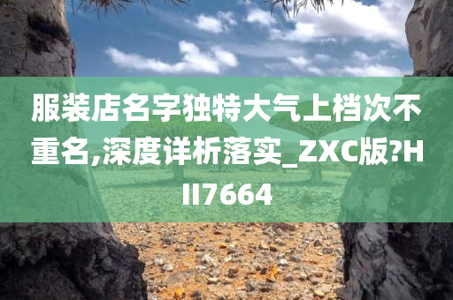 服装店名字独特大气上档次不重名,深度详析落实_ZXC版?HII7664