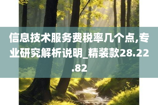 信息技术服务费税率几个点,专业研究解析说明_精装款28.22.82