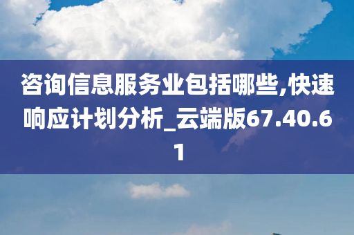 咨询信息服务业包括哪些,快速响应计划分析_云端版67.40.61