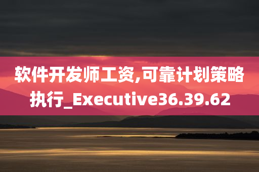 软件开发师工资,可靠计划策略执行_Executive36.39.62