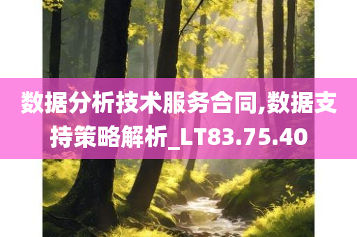 数据分析技术服务合同,数据支持策略解析_LT83.75.40