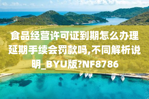 食品经营许可证到期怎么办理延期手续会罚款吗,不同解析说明_BYU版?NF8786