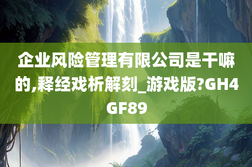 企业风险管理有限公司是干嘛的,释经戏析解刻_游戏版?GH4GF89