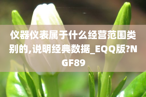 仪器仪表属于什么经营范围类别的,说明经典数据_EQQ版?NGF89