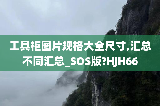 工具柜图片规格大全尺寸,汇总不同汇总_SOS版?HJH66