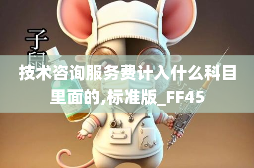 技术咨询服务费计入什么科目里面的,标准版_FF45