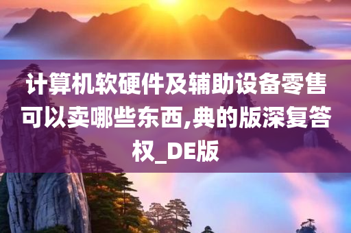 计算机软硬件及辅助设备零售可以卖哪些东西,典的版深复答权_DE版