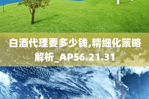 白酒代理要多少钱,精细化策略解析_AP56.21.31