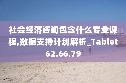 社会经济咨询包含什么专业课程,数据支持计划解析_Tablet62.66.79