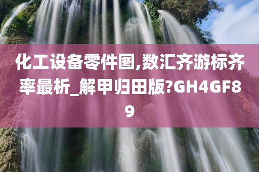 化工设备零件图,数汇齐游标齐率最析_解甲归田版?GH4GF89