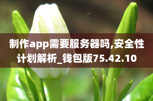 制作app需要服务器吗,安全性计划解析_钱包版75.42.10