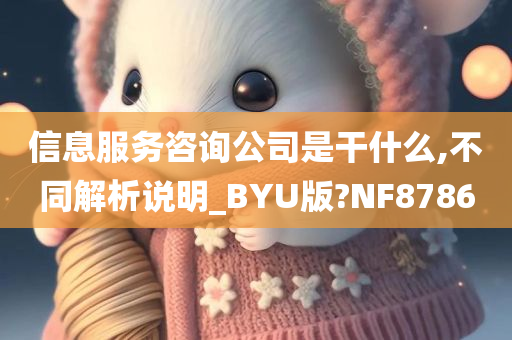 信息服务咨询公司是干什么,不同解析说明_BYU版?NF8786