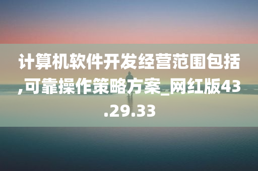 计算机软件开发经营范围包括,可靠操作策略方案_网红版43.29.33