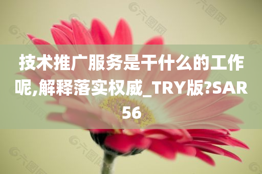 技术推广服务是干什么的工作呢,解释落实权威_TRY版?SAR56