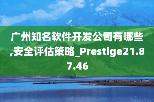 广州知名软件开发公司有哪些,安全评估策略_Prestige21.87.46