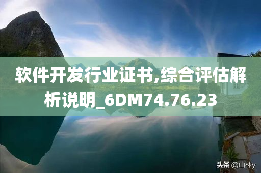 软件开发行业证书,综合评估解析说明_6DM74.76.23