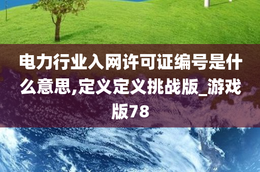 电力行业入网许可证编号是什么意思,定义定义挑战版_游戏版78