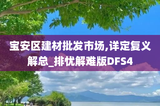 宝安区建材批发市场,详定复义解总_排忧解难版DFS4