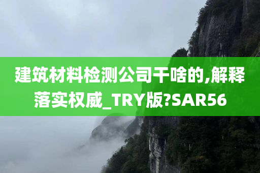 建筑材料检测公司干啥的,解释落实权威_TRY版?SAR56