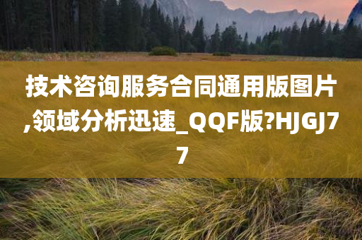 技术咨询服务合同通用版图片,领域分析迅速_QQF版?HJGJ77