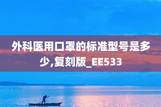 外科医用口罩的标准型号是多少,复刻版_EE533