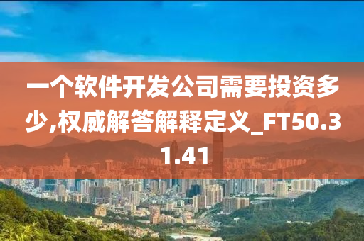 一个软件开发公司需要投资多少,权威解答解释定义_FT50.31.41